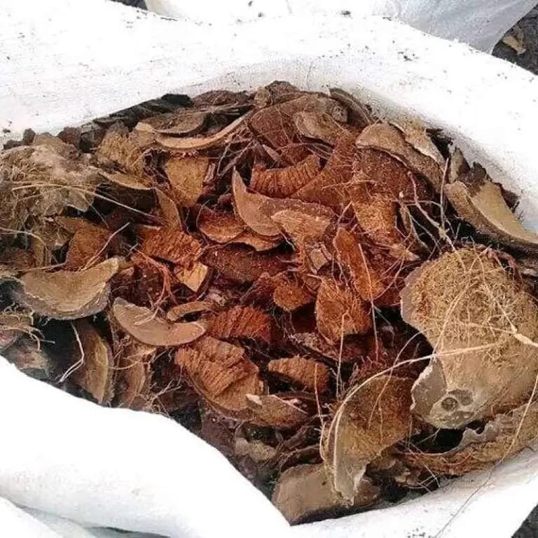 Coconut Shell Indonesia Export - Natural Raw Coconut Shell Material