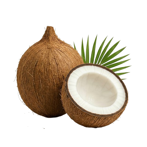 Semi Husked Coconut Indonesia Export Grade - Fresh Natural Coconut for International Market